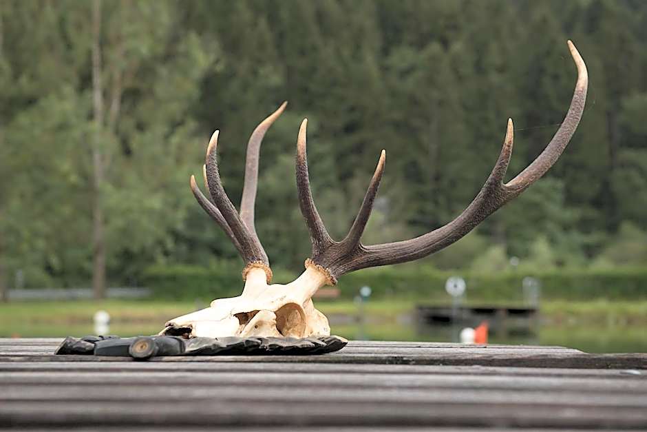 Seegasthof Breineder - Familien & Seminarhotel