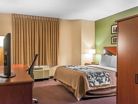 Queen Room - Accessible/Nonsmoking