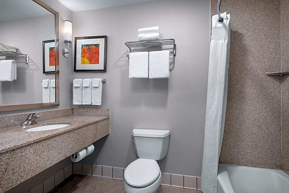 Holiday Inn Stevens Point - Convention Center By IHG