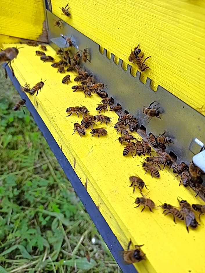 Country Hotel Al Gallo