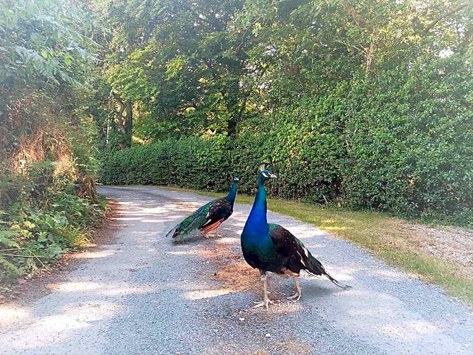 Greenways Valley Holiday Park