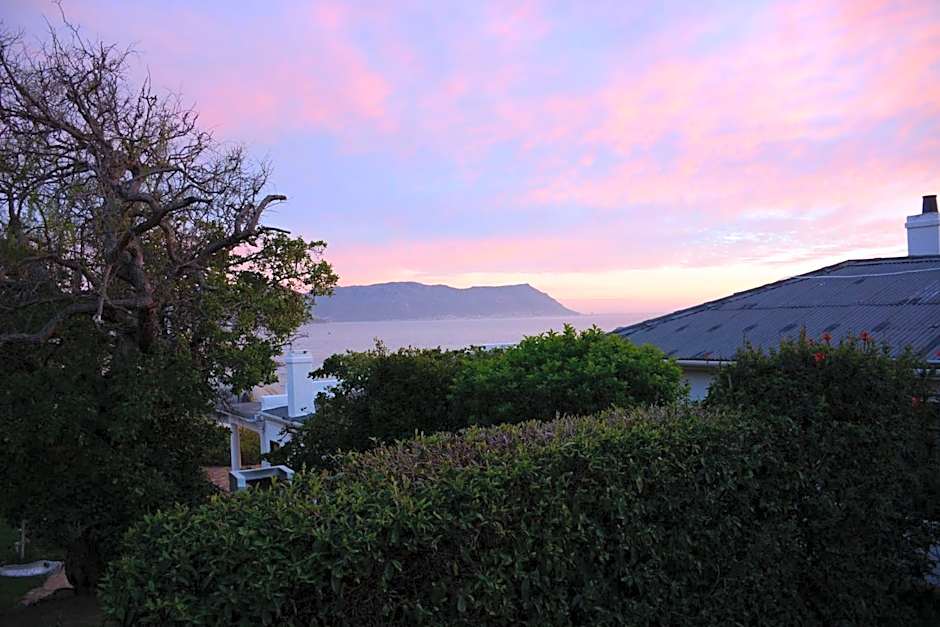 Bosky Dell on Boulders Beach