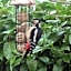 Oakenholt Farm Bed and Breakfast