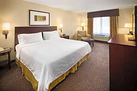 1 King Bed Mobility Accessible Room Roll-In Shower Non-Smoking