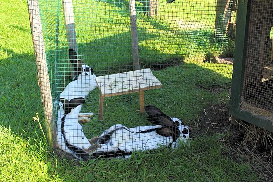 Alpengasthaus Gleinserhof