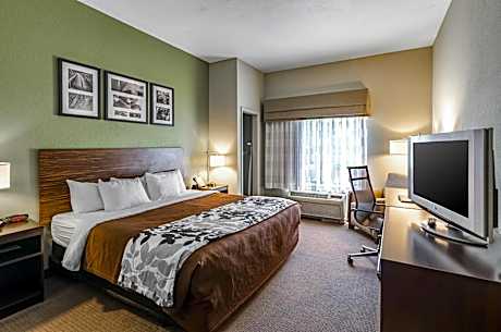 King Room - Accessible/Non-Smoking
