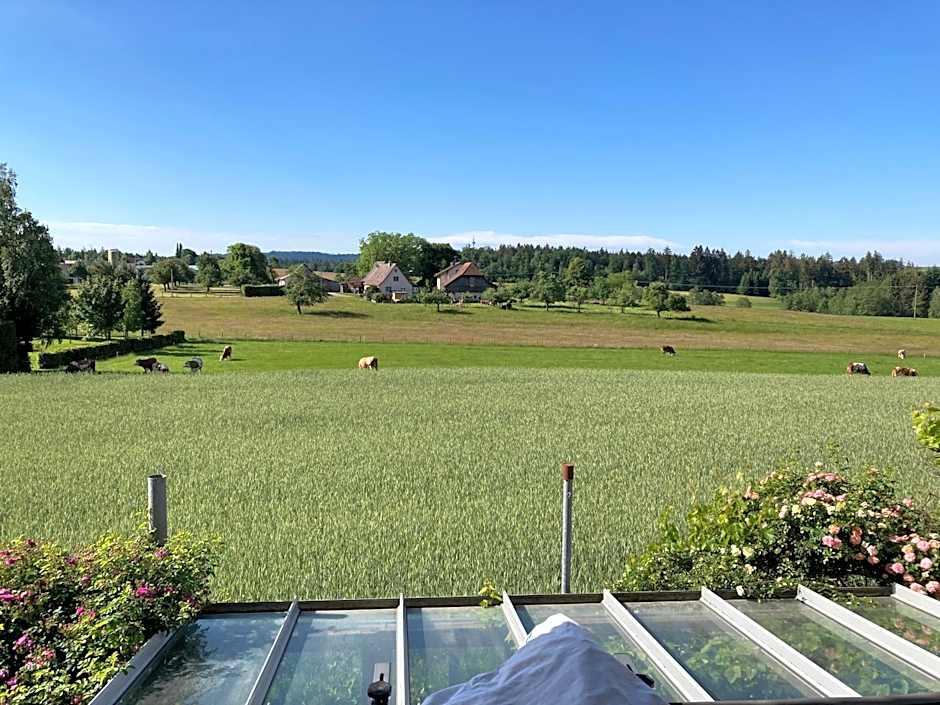 Hotel-Pension-Waldblick