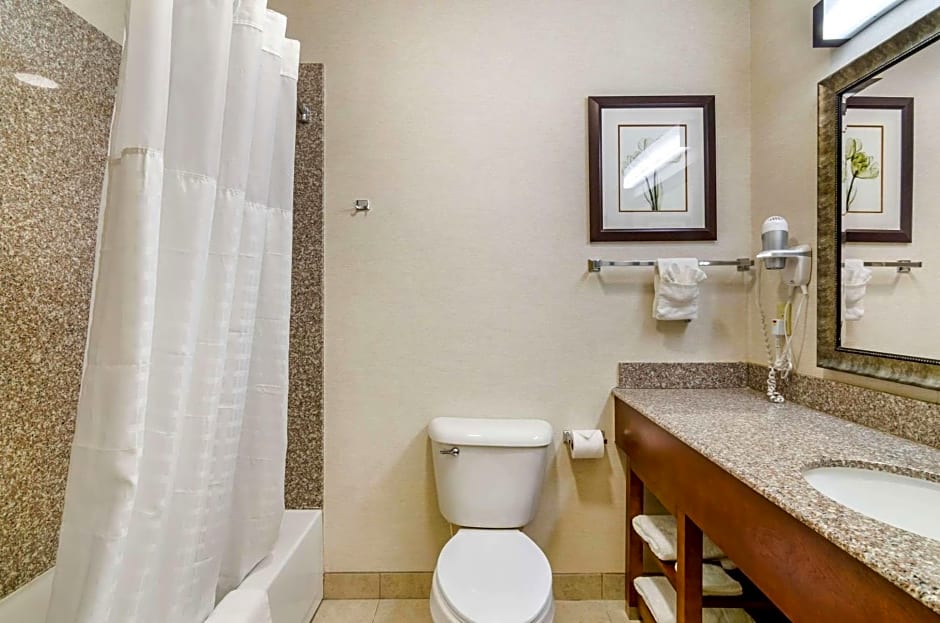 Comfort Inn & Suites near Bethel College