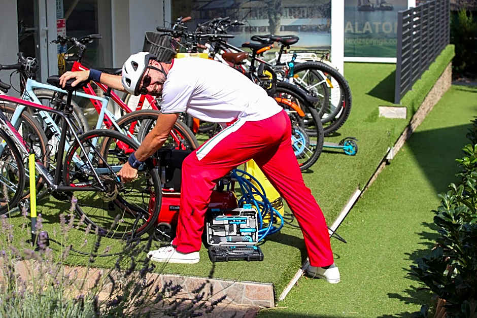 ****Heviz Springs Apartments