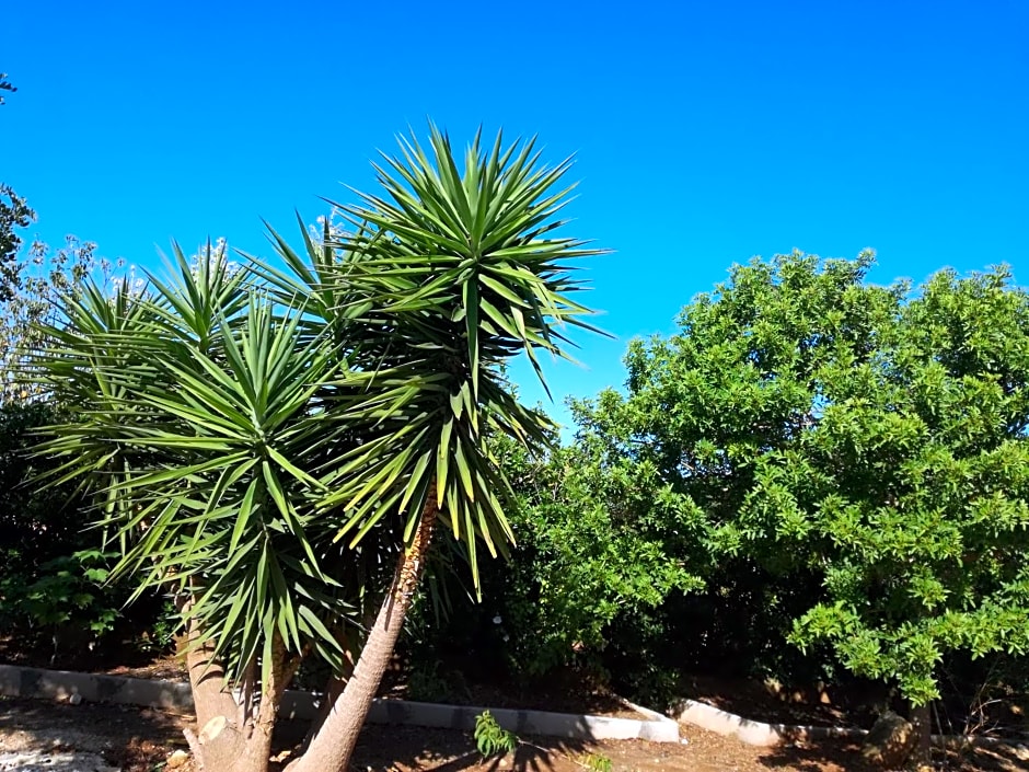 La Lanterna delle Fate
