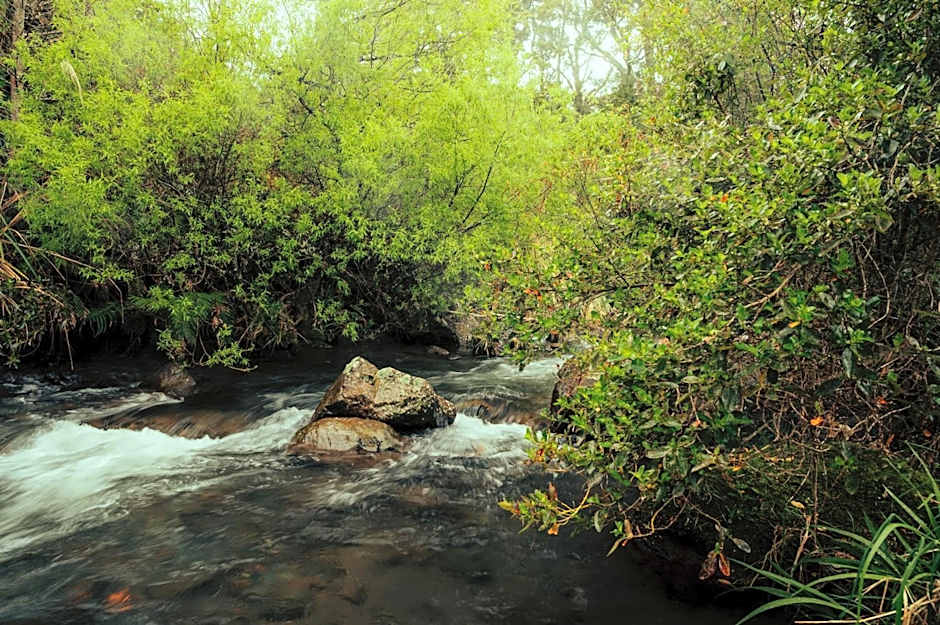 Two Rivers Ohakune - Boutique Bed and Breakfast