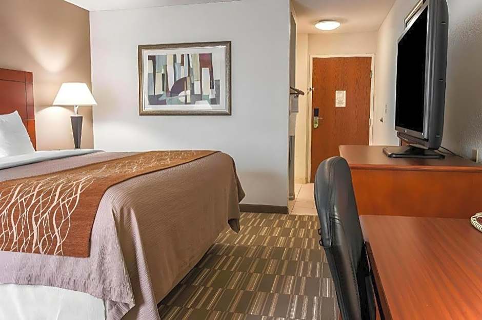 Comfort Inn & Suites University South