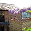 Gîte de Chapelèche Les Glycines