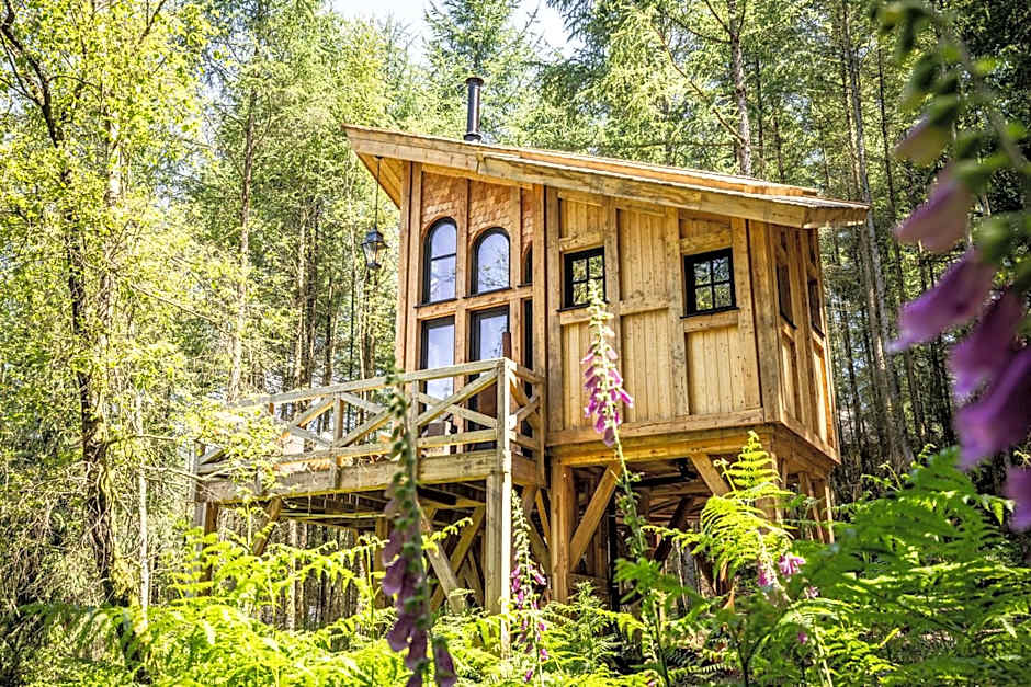 Les cabanes des Dolimarts