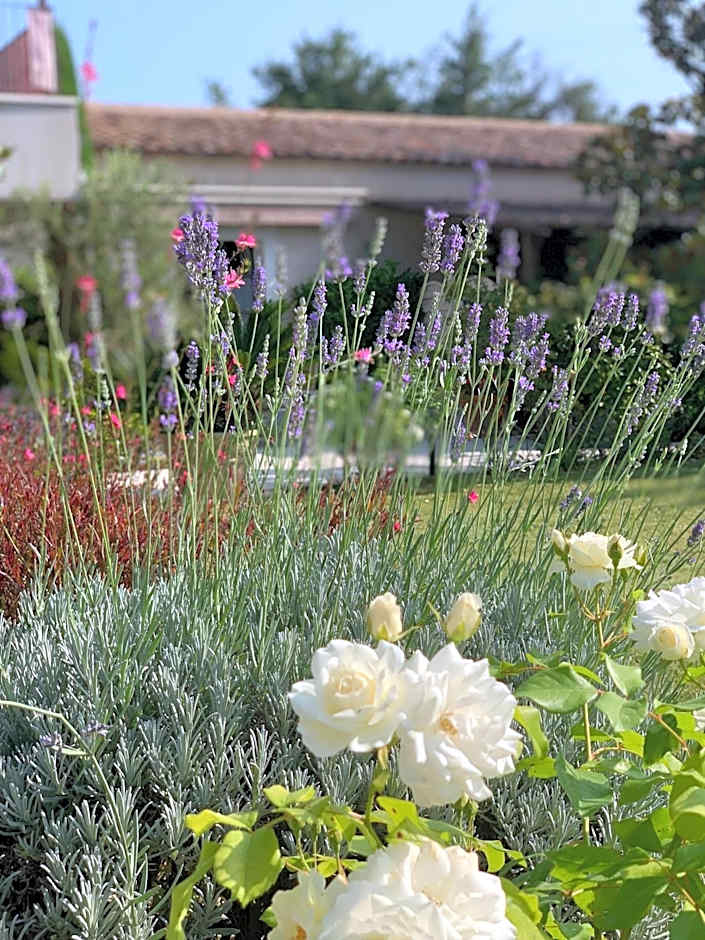 Residence Melody - Adult only