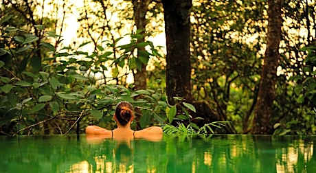 Wayanad Wild  Rainforest Lodge by CGH Earth