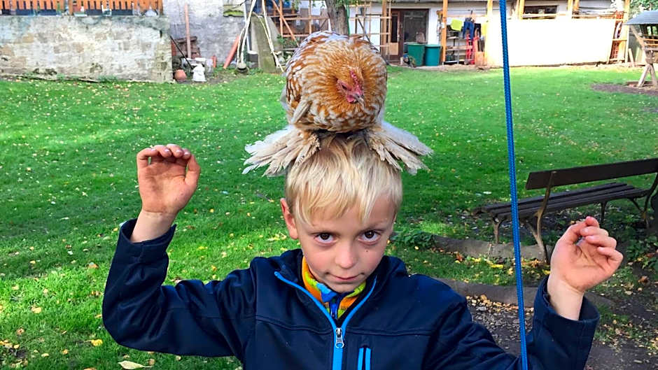 Harzer Feriengarten 4 Sterne