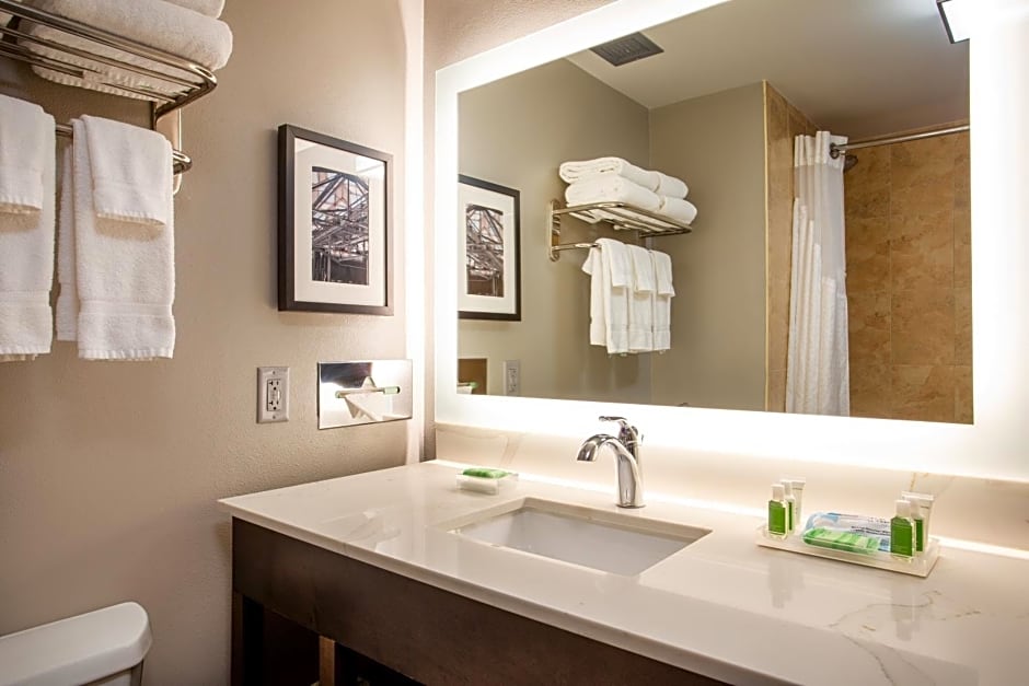 Holiday Inn Valdosta Conference Center By IHG