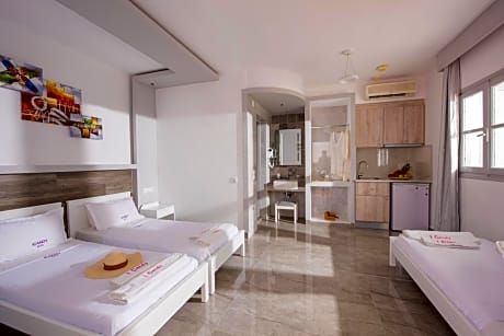 Standard Triple Studio