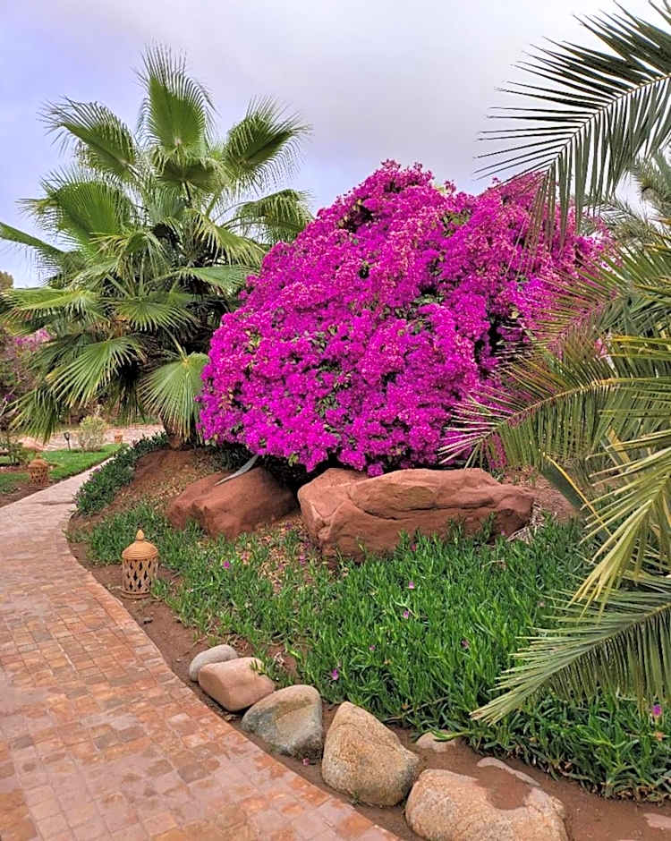 Eden Lodges & SPA-Boutique Hôtel de Luxe