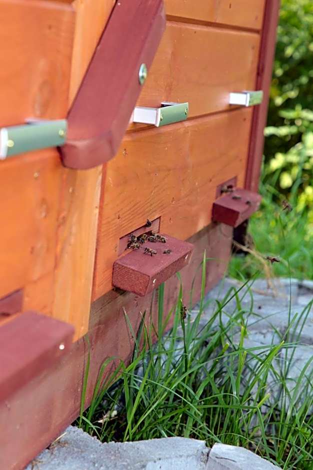 Domki w Smolniku z możliwością apiterapii