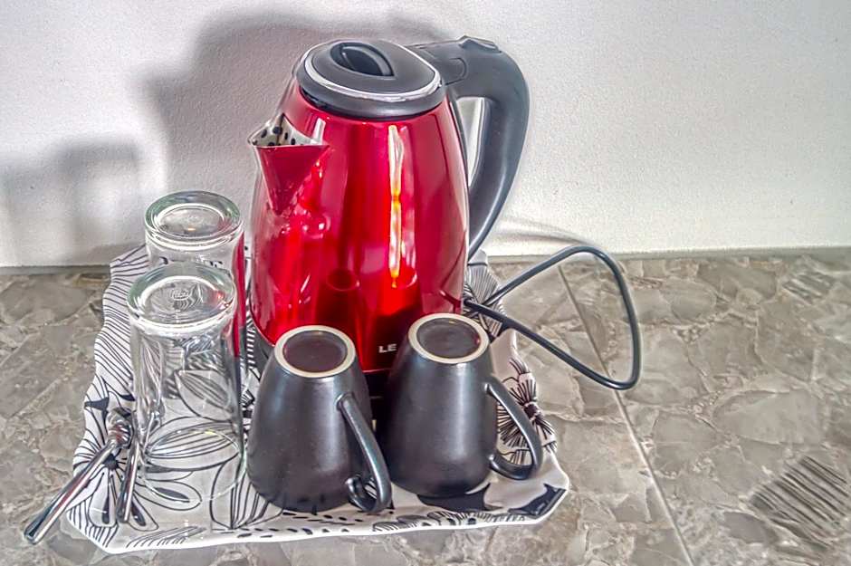 The Travelers Friend