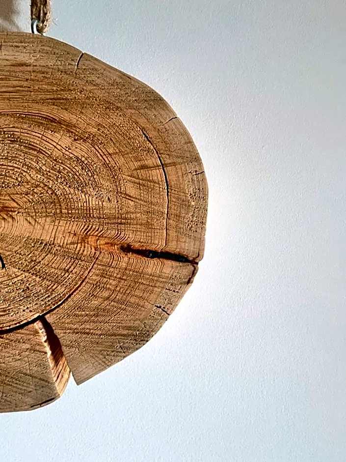 Three Peaks Getaway Jacuzzi Suite - sleeps 4