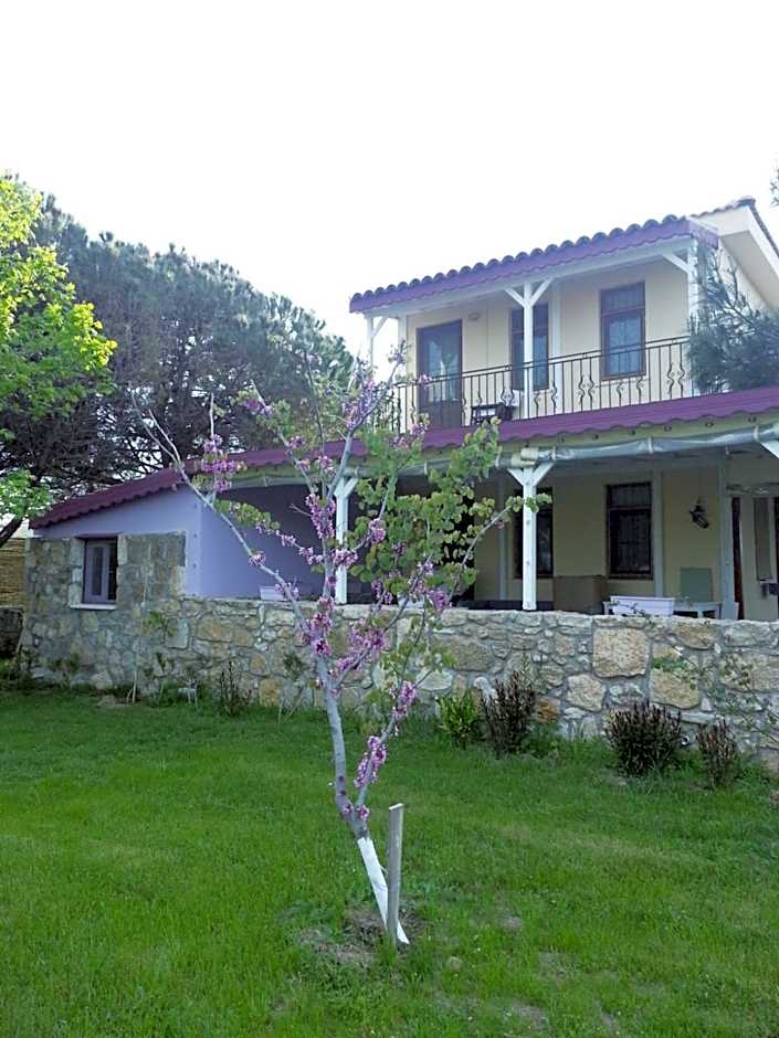 Foto 1 dari 31 — Nar Bağevi