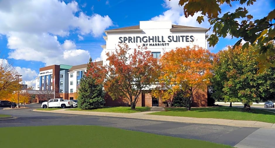 SpringHill Suites by Marriott Minneapolis Eden Prairie