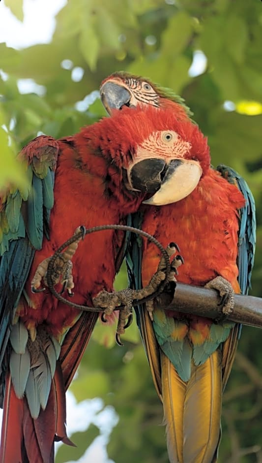 Polonezköy Country Club