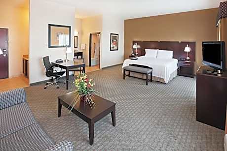 1 King Bed Studio Suite Nonsmoking