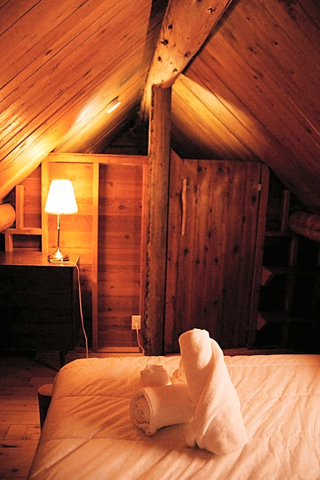 Rustic Woodland Cabin at Beaverfoot