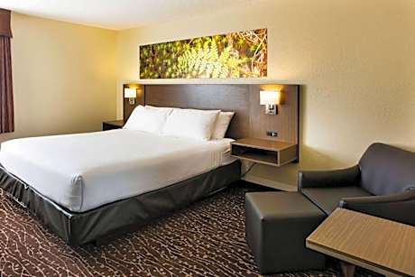 1 Queen Bed Mobility Accessible Room Bathtub W/ Grab Bars Non-Smoking