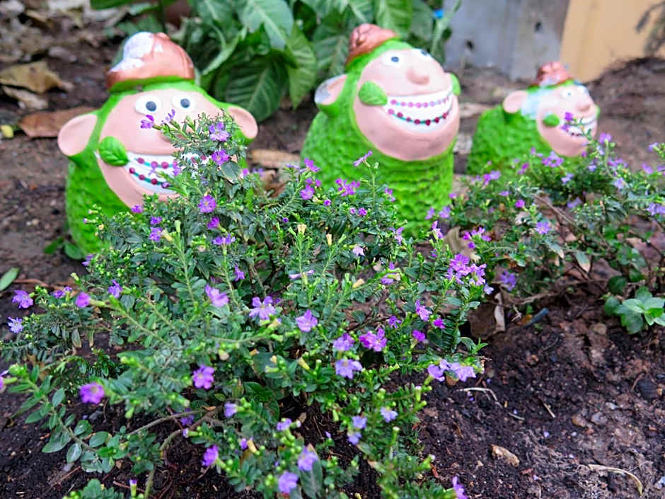 Sleep Tight Hostel at Koh Phangan