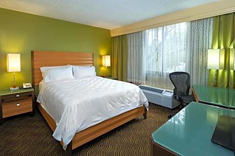 Queen Room - Disability Access