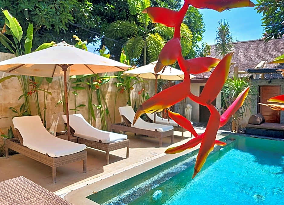 Scallywags Smugglers