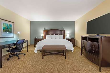 King Suite with Fireplace