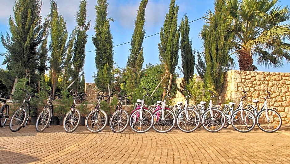 Bella Elena by Estia