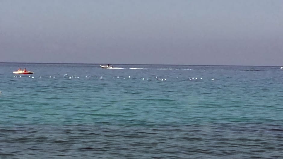 B&B Villa Eleonora Tropea