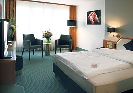 Comfort Single Room