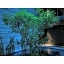 nol kyoto sanjo - Vacation STAY 97692v