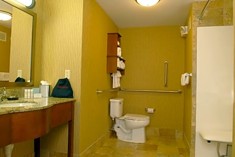 2 Queen Mobility Hearing Accessible with Roll In Shower Non-Smoking