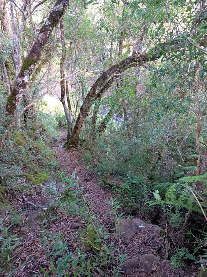 Pousada Recanto da Cascata - Cabana Platano