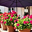 Hotel Hirsch