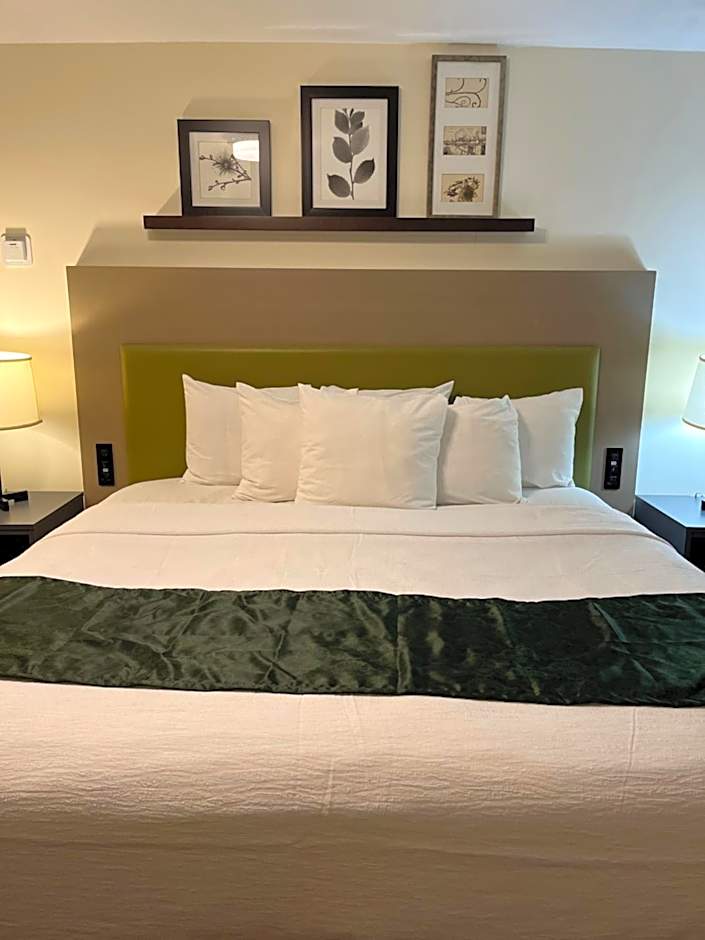 Pictured Rocks Inn and Suites