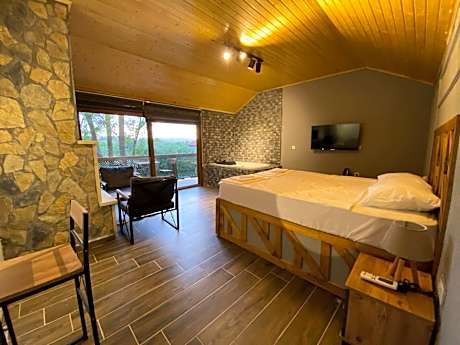 Deluxe - 1 Queen Bed