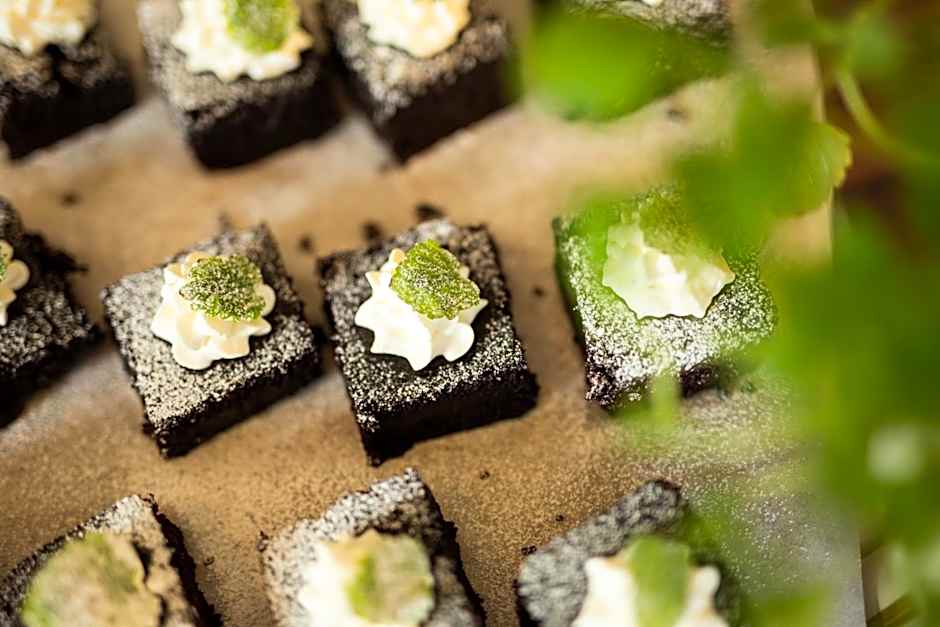 Home Hotel Bolinder Munktell