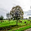 Boertel Lamperse Hei