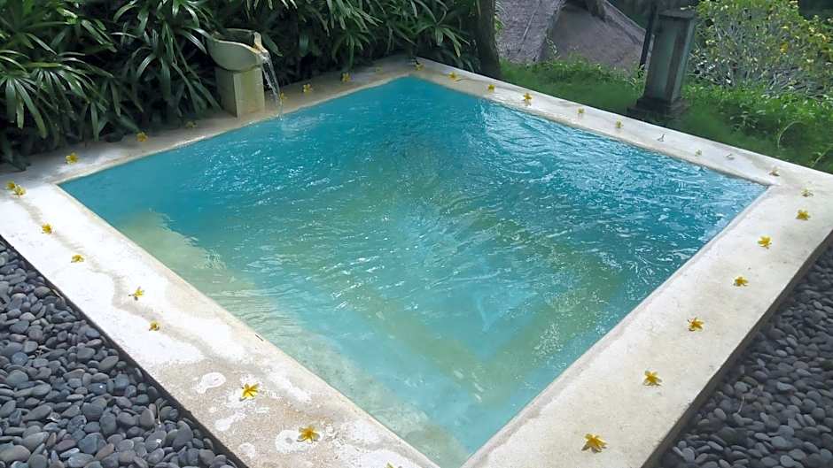 Bali Masari Villas & Spa Ubud