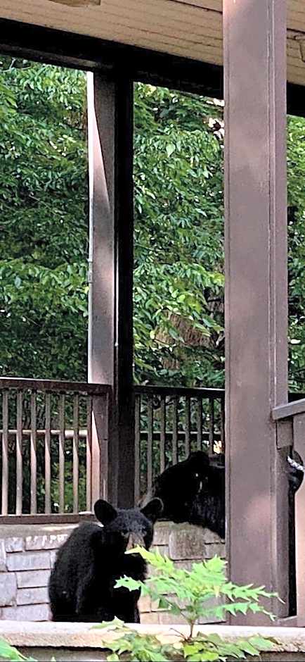 Brookside Lodge by FairBridge